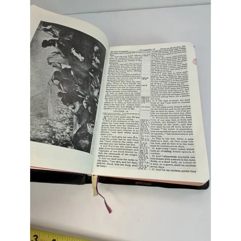 Vintage KJV Holy Bible Red Letter Master-Art Edition World Leather Indexed